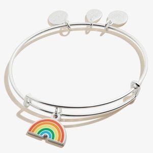 Alex and Ani Rainbow Bracelet - Silver